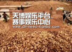 种植基地二