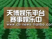 种植基地六(图1)