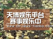 种植基地七