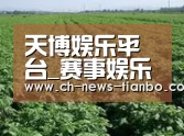 种植基地五