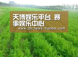 种植基地四