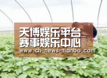 种植基地三
