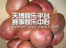 产品展示标题1