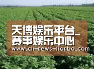 种植基地五(图1)