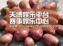 产品展示标题5(图1)