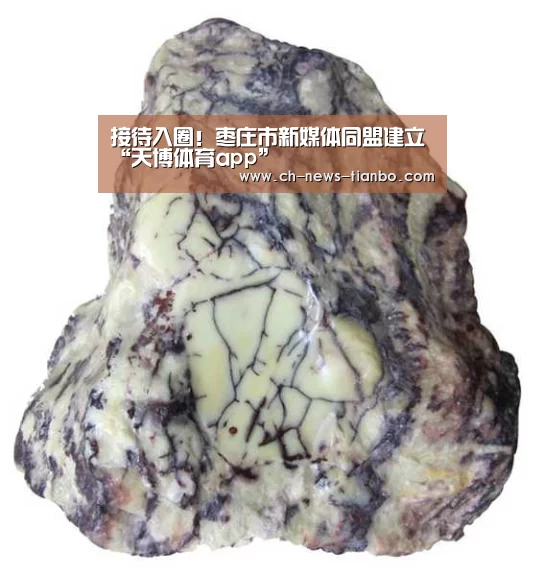 接待入圈!枣庄市新媒体同盟建立“天博体育app”(图1) 天博体育app下载