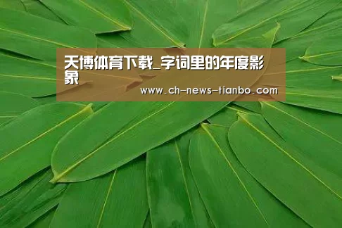 天博体育下载_字词里的年度影象(图1) 天博体育下载