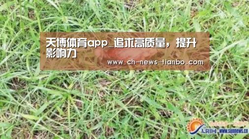 天博体育app_追求高质量,提升影响力(图2) 天博体育app下载