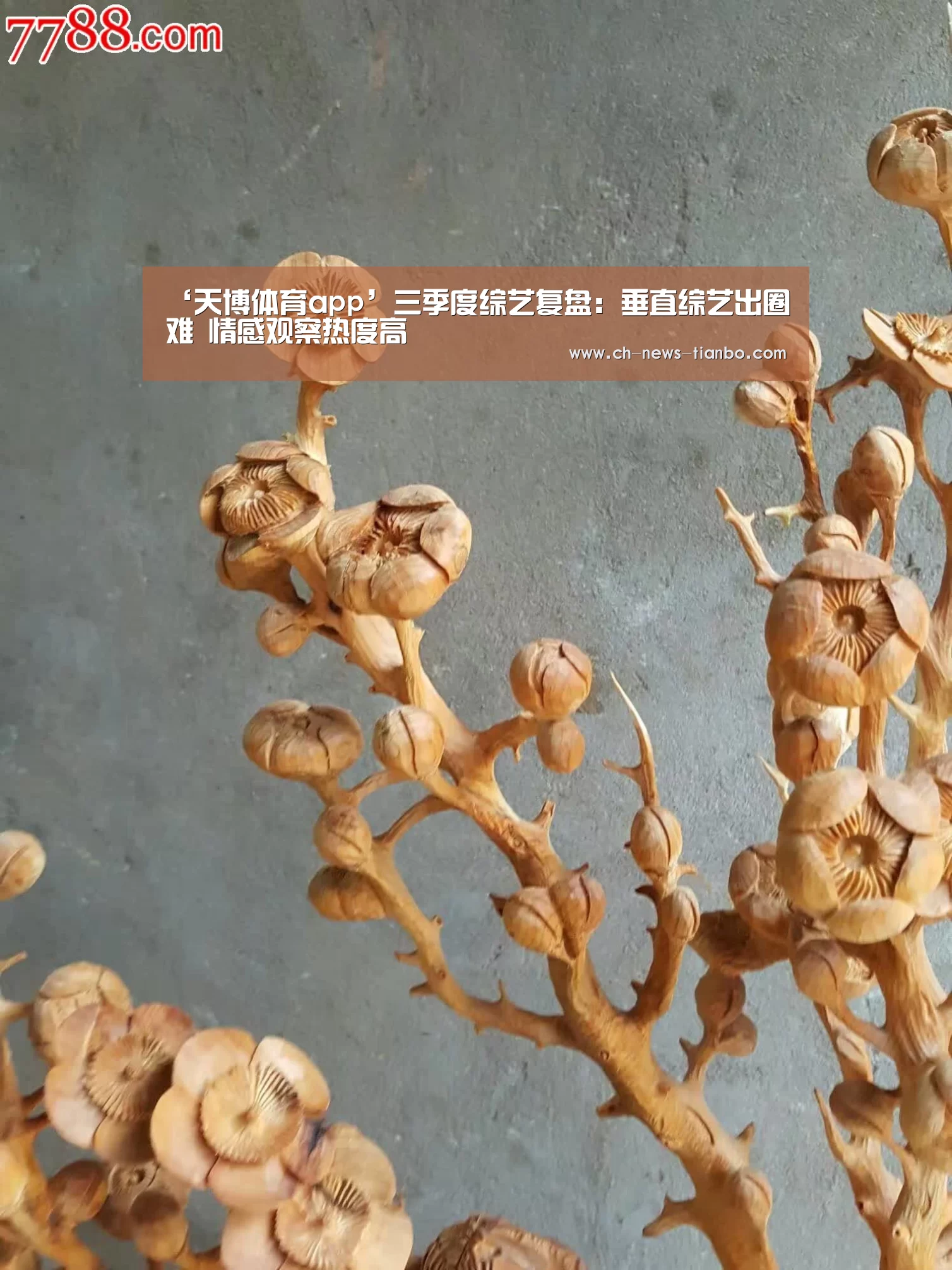 ‘天博体育app’三季度综艺复盘:垂直综艺出圈难 情感观察热度高(图1) 天博体育app下载