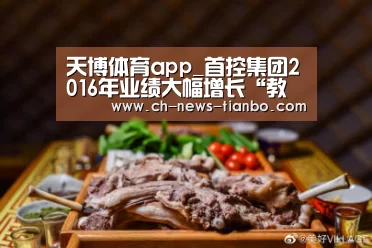 天博体育app_首控集团2016年业绩大幅增长“教育+金融”双轮驱动见成效(图1) 天博体育app下载